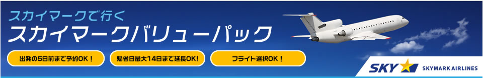 スカイマークで行くスカイマークバリューパック