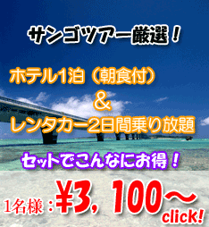 セット予約でこんなにお得!レンタカー&ホテルパック