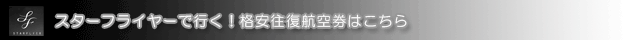 �������ե饤�䡼