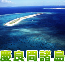 ケラマ島シュノーケル&パラセール