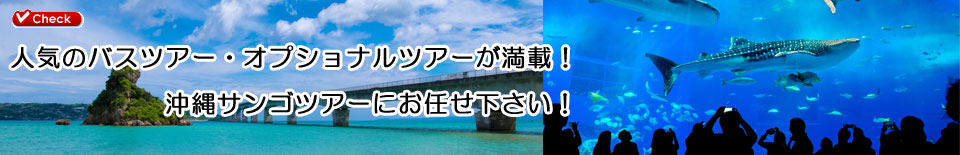 レンタカー特別割引料金!!